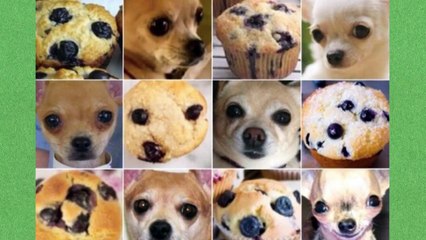 Başka Bir Şeye Daha Benzeyen 25 Şey