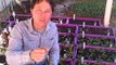 How to Protect Your Garden from Pests without Chemical Pesticides & more Q&A