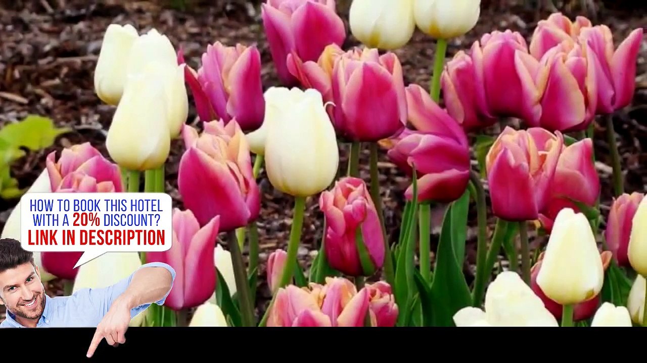 Antigonish Evergreen Inn, Antigonish (Nova Scotia), Canada, HD Review