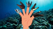 The Finger Family sea monster Dinosaur Rhymes | Sea Animals | Finger Family Songs For Children