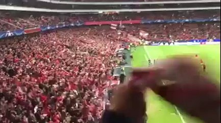 A despedida arrepiante aos jogadores do SL Benfica