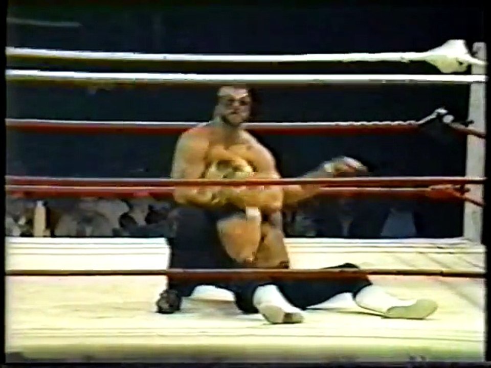 The Road Warriors vs The Fabulous Ones part 2