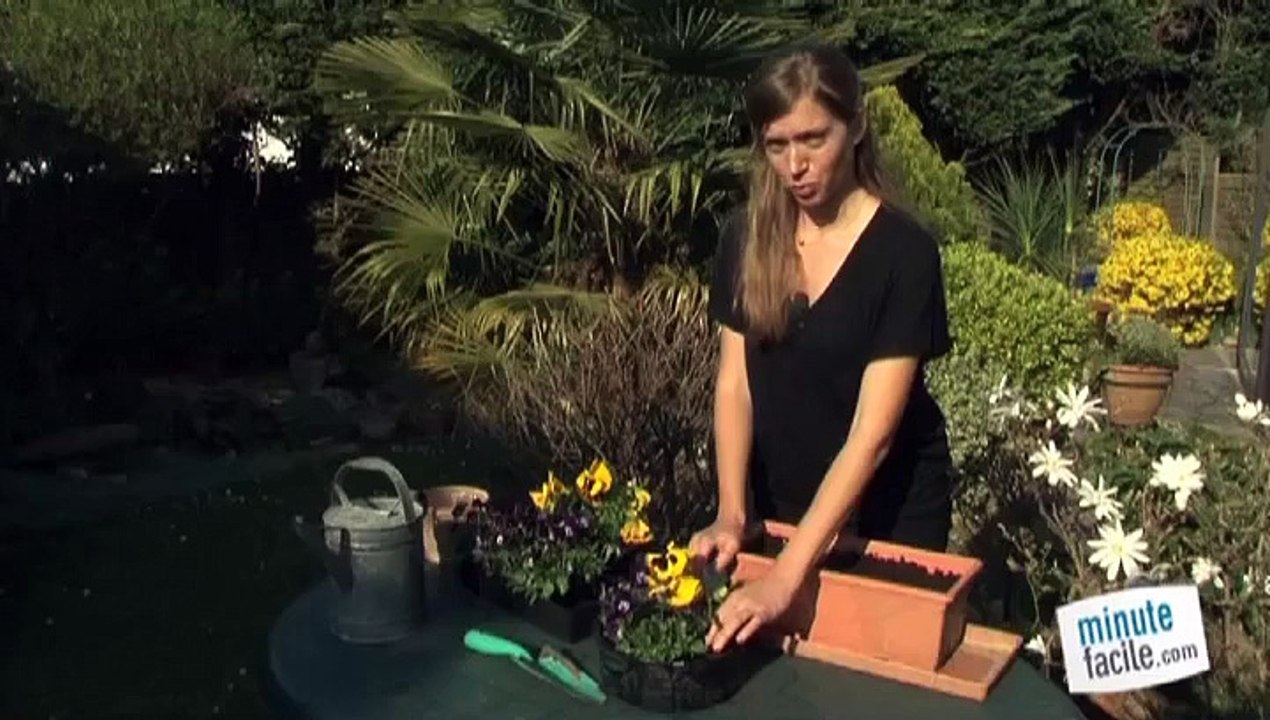 Pour planter mes pensées!