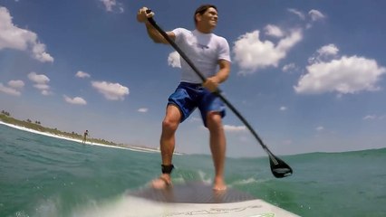 Surfista captó el momento en el que un tiburón lo sorprendió