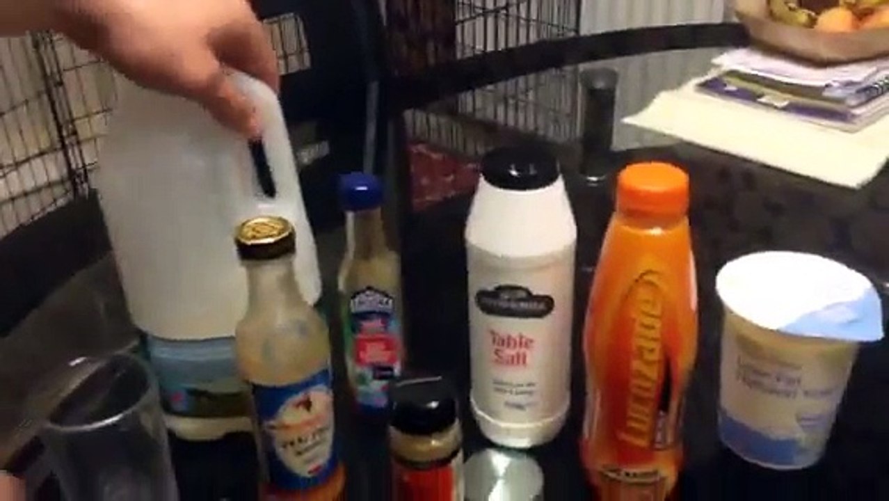 DISGUSTING MILKSHAKE CHALLENGE *Vomit Alert*