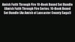 Book Amish Faith Through Fire 10-Book Boxed Set Bundle (Amish Faith Through Fire Series: 10-Book