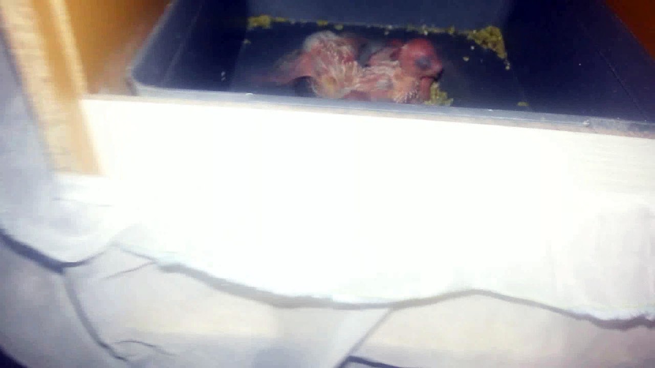 20160413_191912_Rotated13723