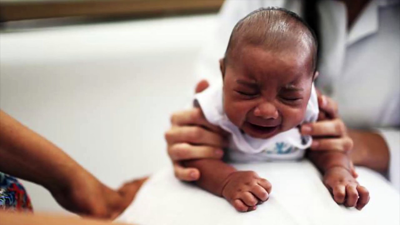 Confirmed: CDC says Zika virus causes birth defects