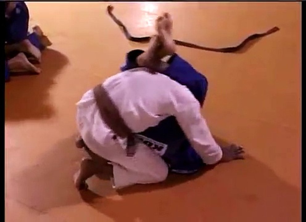 Jiu Jitsu Lifestyle Vol1 Arte Suave 43
