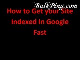 Tutorial : How to Get your Site Indexed In Google Fast  Online seo tools on bulkping for Website Seo