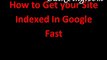 Tutorial : How to Get your Site Indexed In Google Fast  Online seo tools on bulkping for Website Seo