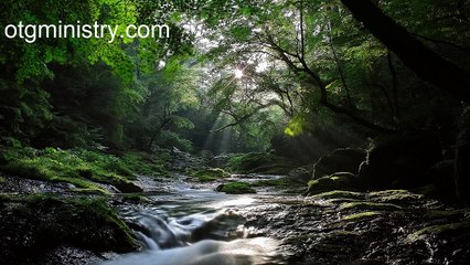 The Love of God - The Love of God in Difficult Times