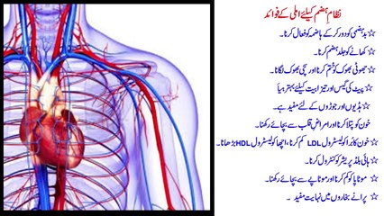 Emlee Alu Bakhara Kay Fawaed Dr. NA Mazhar %28Dr alternative medicine%29 - Copy