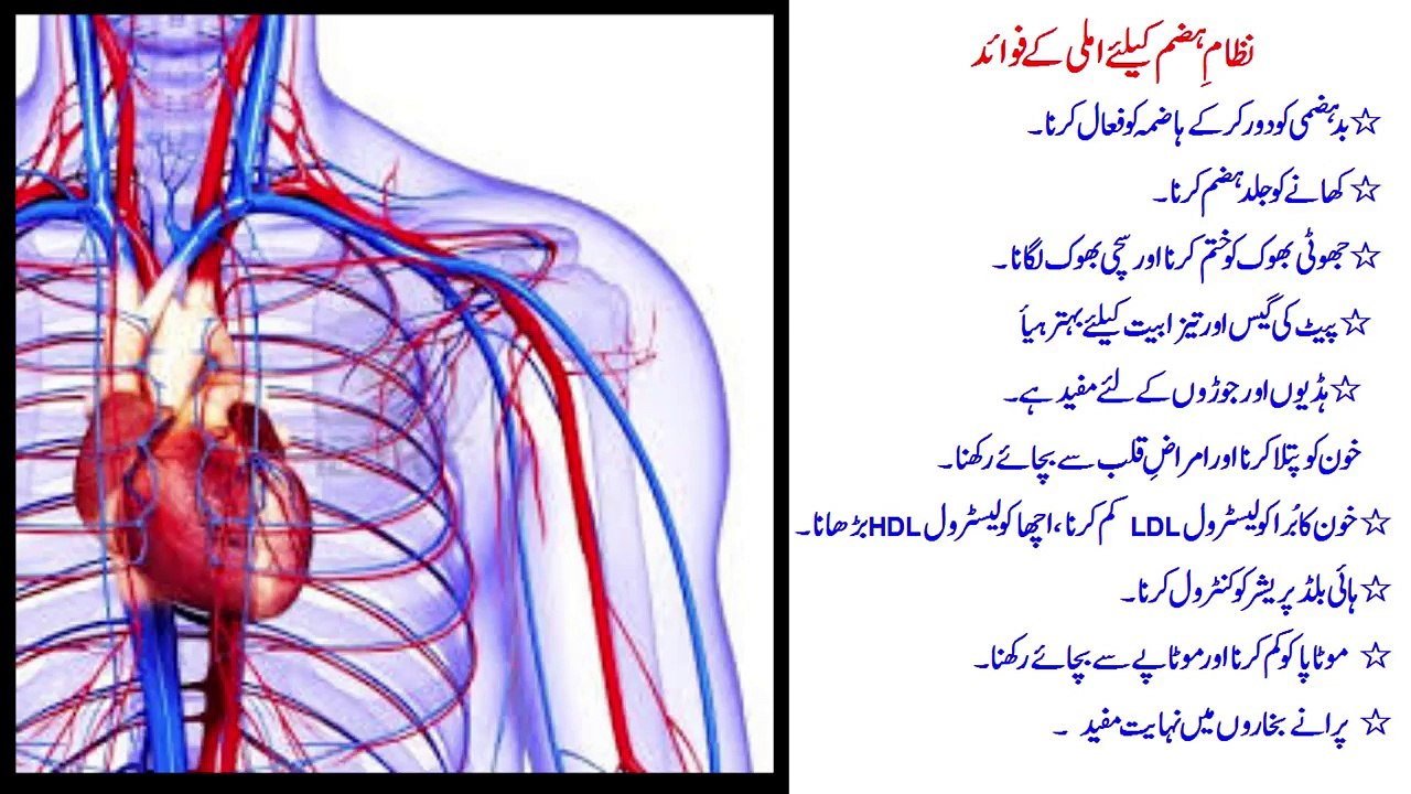 Emlee Alu Bakhara Kay Fawaed Dr. NA Mazhar %28Dr alternative medicine%29 - Copy
