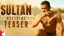 Sultan Official Teaser OUT  Salman Khan, Anushka Sharma