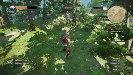 WITCHER 3 DEATH MARCH! WALKTHROUGH 92 - DESTINATION SKELLEGE