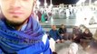 Parho la Ilaha Illallah while in Masjid-e-Nabvi SAW visiting Madinah Shareef