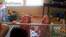 Babies Laughing Hysterically At Dogs Eating Bubbles Compilation    NEW HD