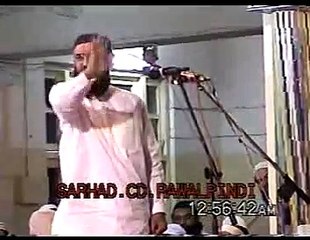 Tahafuz-e-Pakistan Conference (Ulma-e-Deoband ki Qurbania) Allama Attaullah Bandyalvi part 3/8