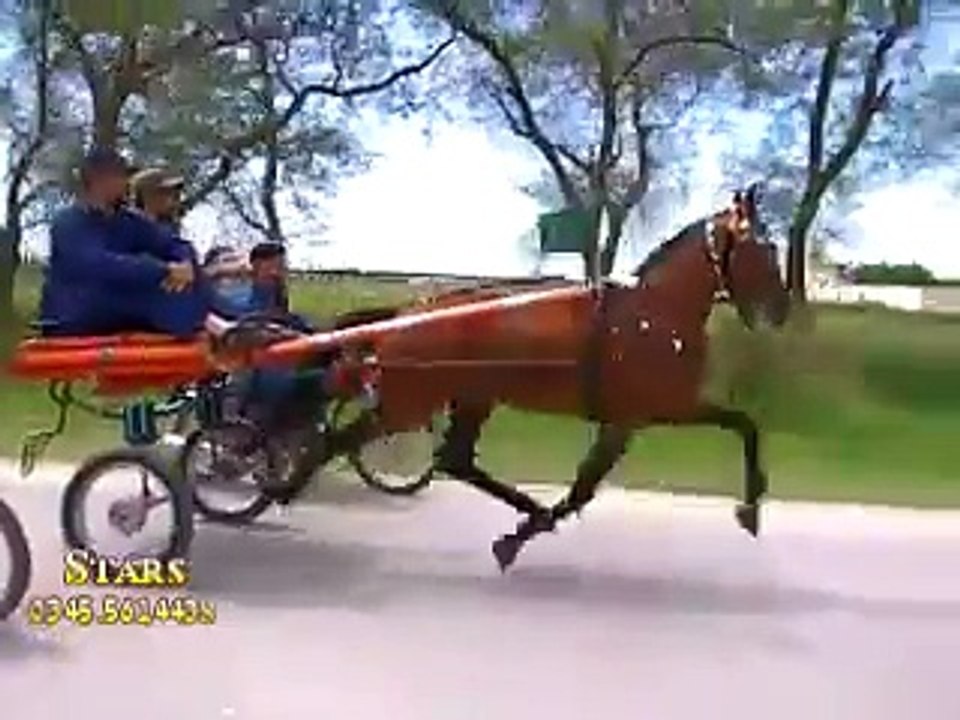 charsi wachara new try