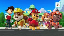 Paw Patrol Finger Family Songs | Finger Family Nursery Rhymes | Cartoon Animation Children Songs