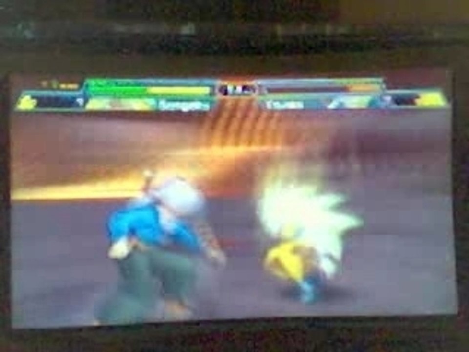 Shin budokai 1