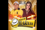 Forró Bakana Éo chefe By Wallas de aço arrocha cds