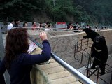 beijing muralha china badaling - pepinos para ursos