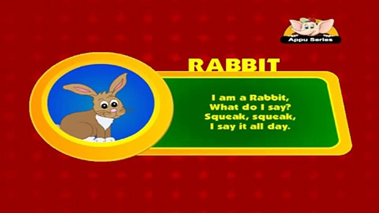 Animal Sounds in Hindi - Rabbit