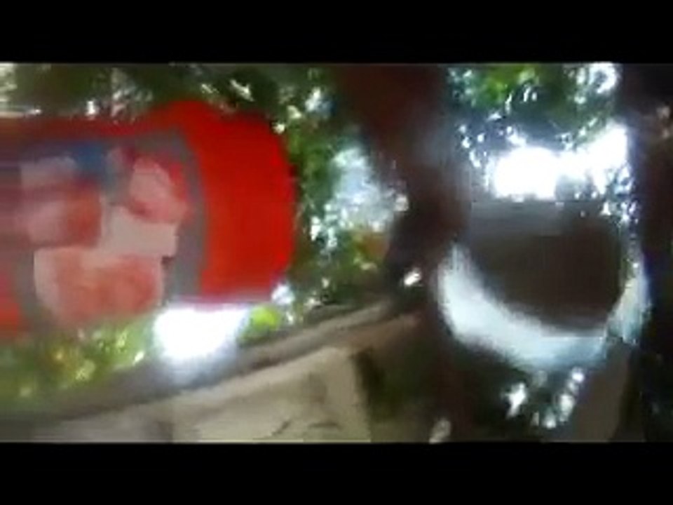 'Eco Bee Removal-How to remove Mega bee colony in tree' Part 2