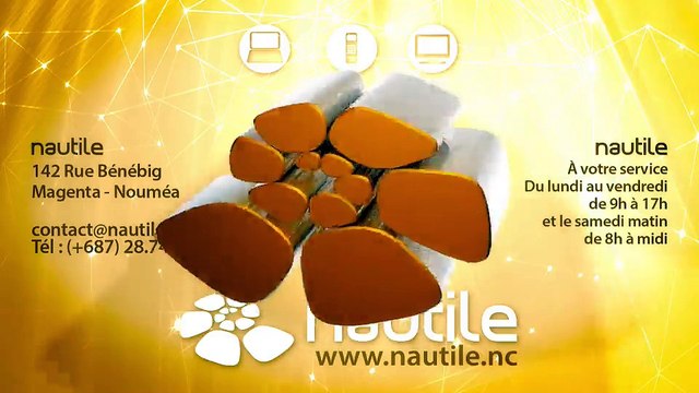 Le virus Petya (Nautile Nouvelle Calédonie ADSL et Fibre optique)