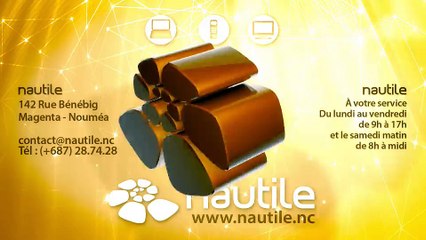 L'échographie à distance  (Nautile Nouvelle Calédonie ADSL et Fibre optique)