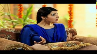 Dil E Beqarar Episode 1 on HUM TV - 13 April 2016