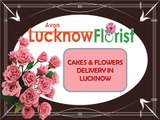 Cakes And Flowers Delivery In Lucknow