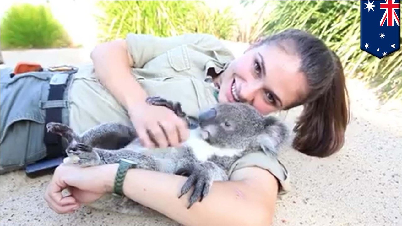 Cute animals and hot zookeepers at Australian zoo are perfect for TV