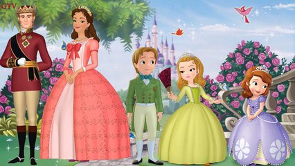 Finger Family Sofia the First Song | Sofia the First Cartoon | Songs for Children