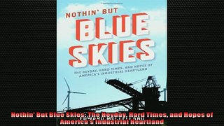 FREE DOWNLOAD  Nothin But Blue Skies The Heyday Hard Times and Hopes of Americas Industrial Heartland READ ONLINE