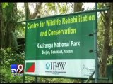 Royal couple prince william and Kate visits kaziranga national park in Assam - Tv9 Gujarati