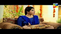 Dil E Beqarar - Episode 1 - 13 April 2016 - Drama - HUM TV