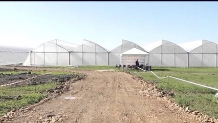 AHMETAJ I PERGJIGJET VASILIT,“SHQETESIME LEGJITIME PER BUJQESINE,DO TI ZGJIDHIM” LAJM mpg