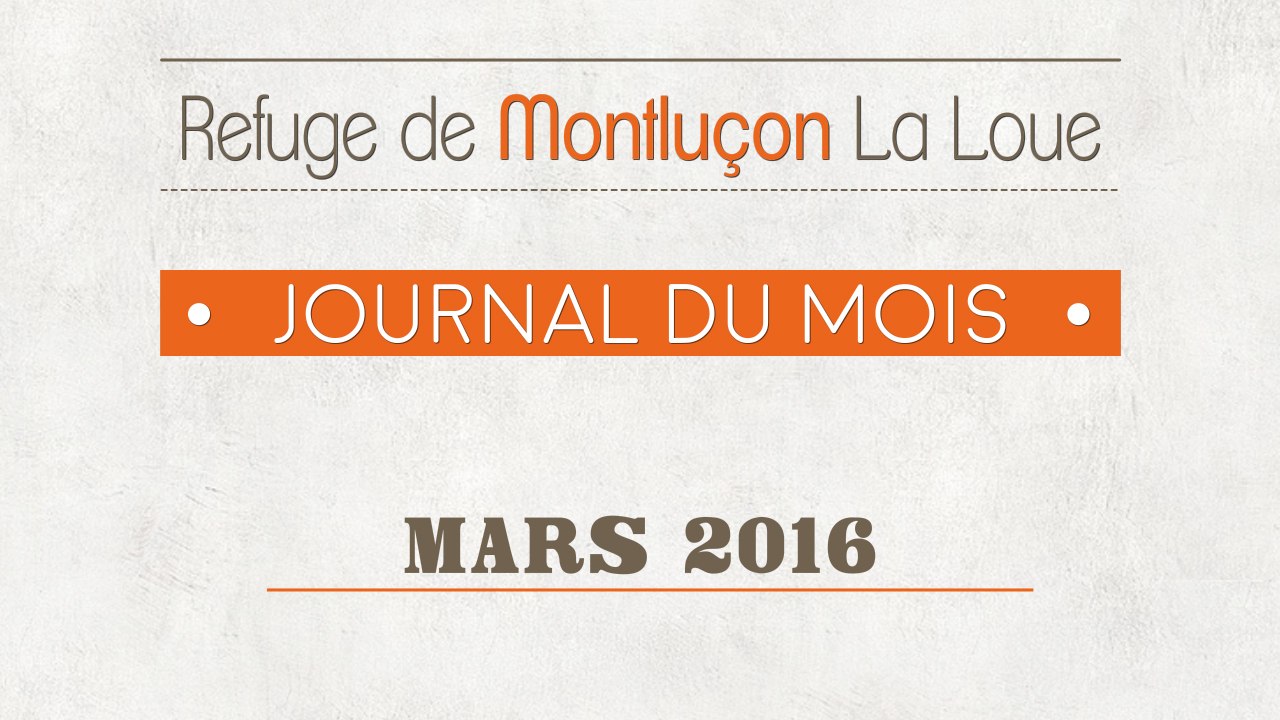 Un mois au refuge : mars 2016