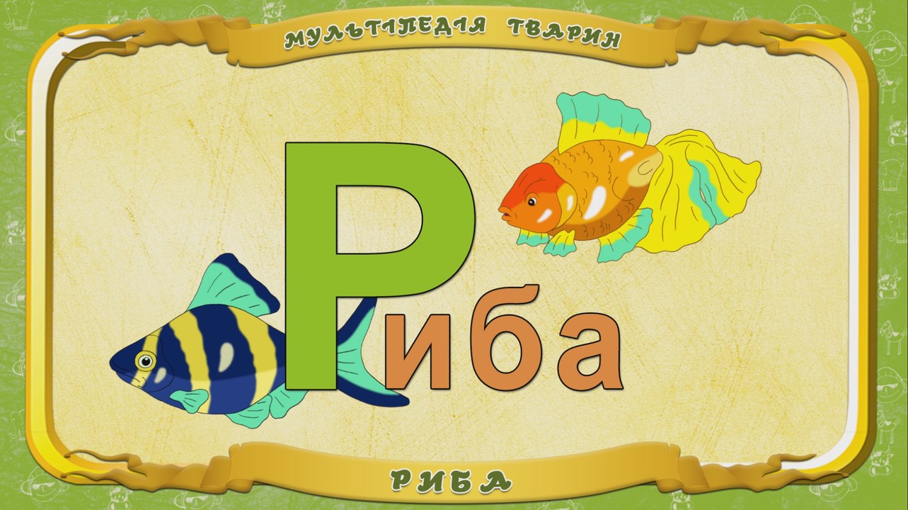 Мультіпедія тварин. Літера Р - Риба