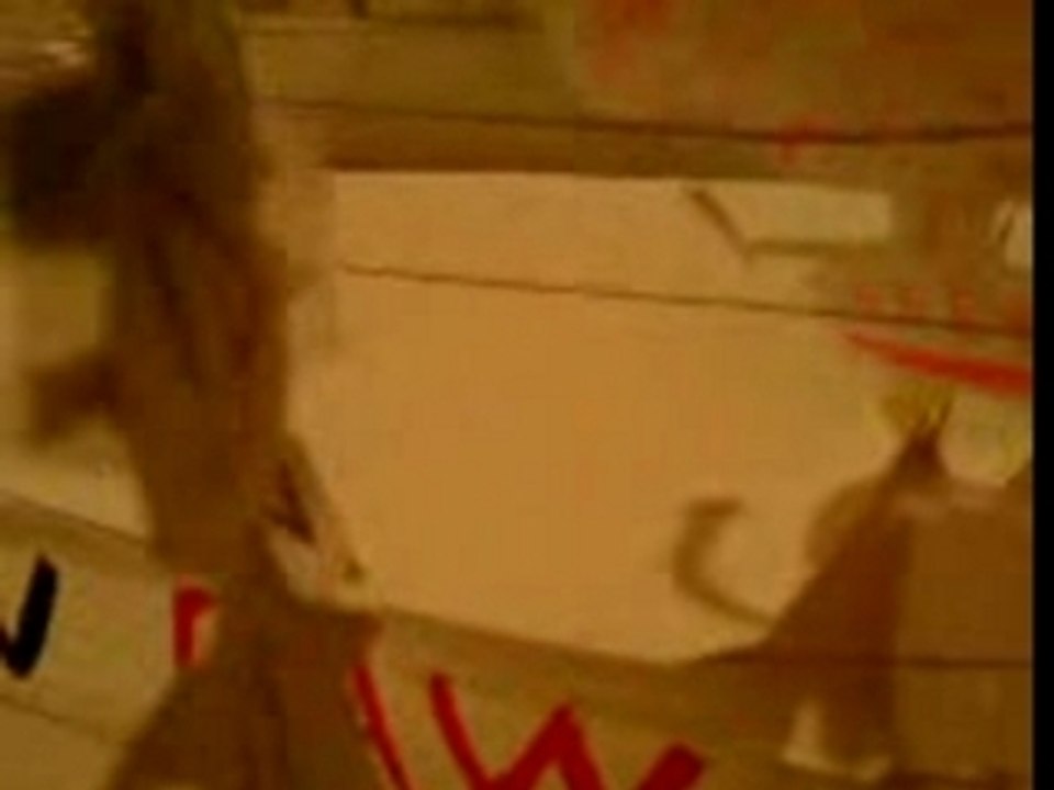 Santino marella vs umaga