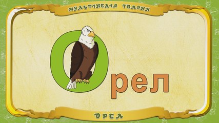 Мультіпедія тварин. Літера О - Орел