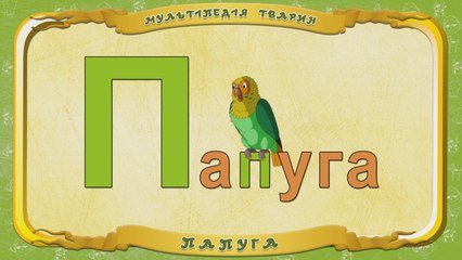 Мультіпедія тварин. Літера П - Папуга