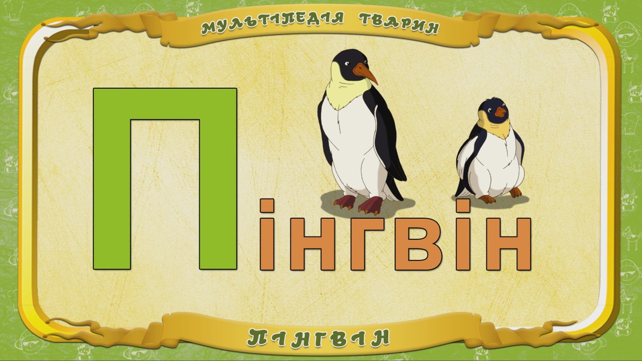Мультіпедія тварин. Літера П - Пінгвін