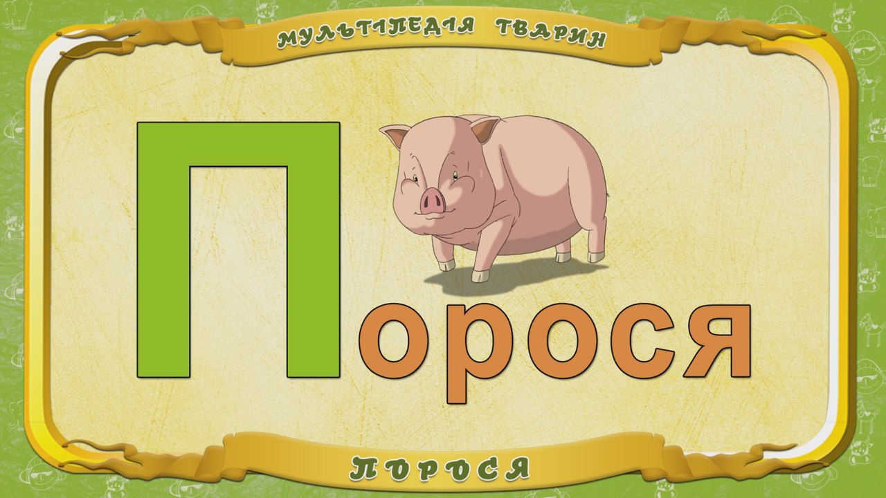 Мультіпедія тварин. Літера П - Порося