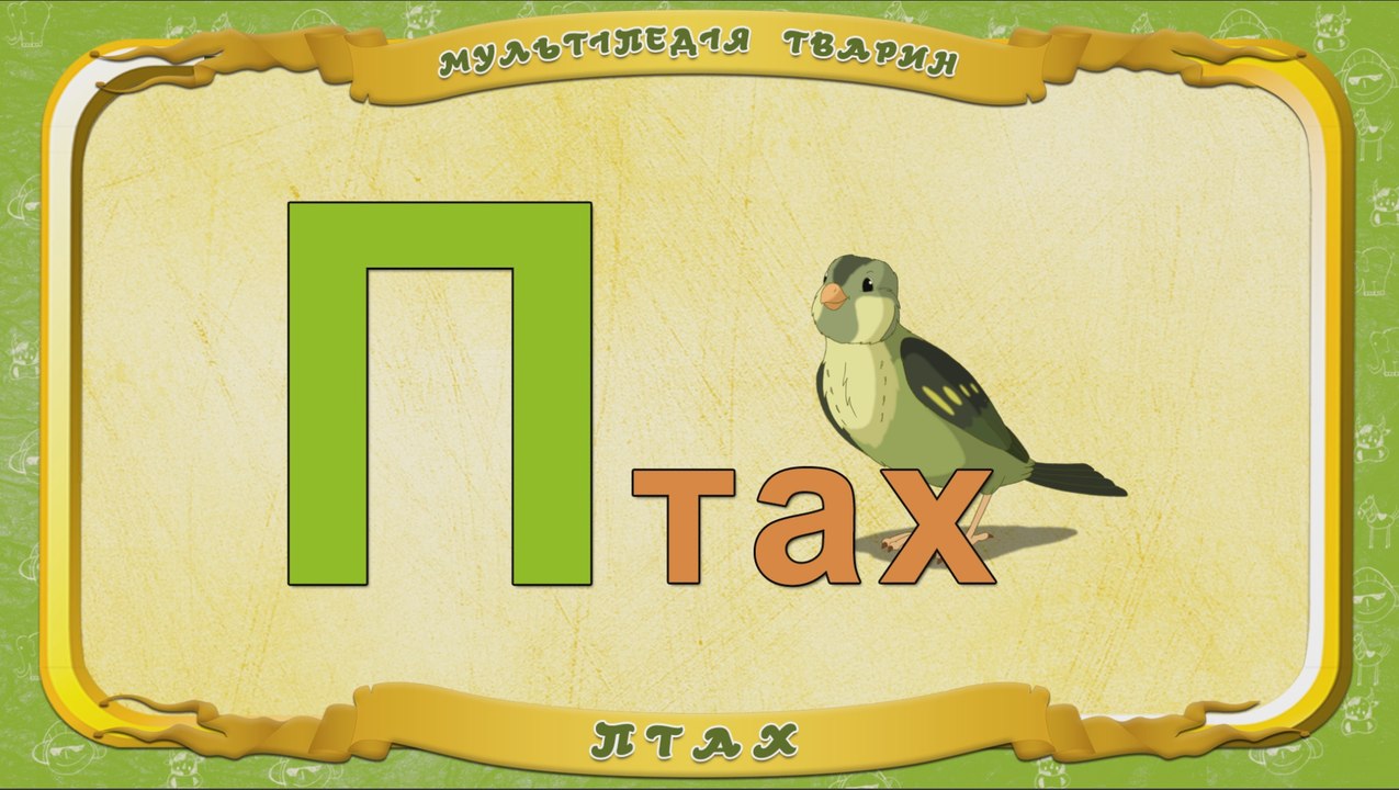 Мультіпедія тварин. Літера П - Птах