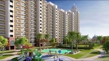 Gulshan Botnia well furnished flats