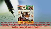 PDF  How to Draw Tigers with Colored Pencils How to Draw Realistic Wild Animals Learn to Draw Download Online